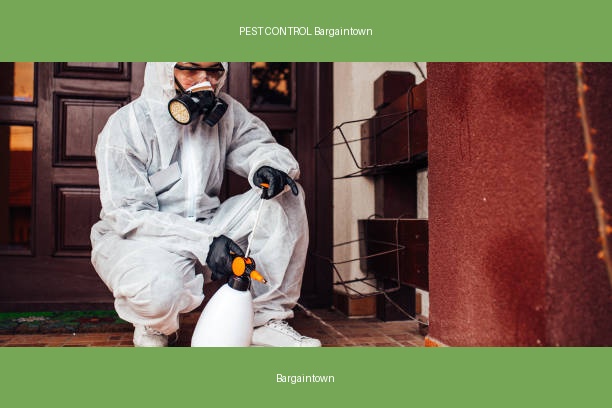 PEST CONTROL Bargaintown
